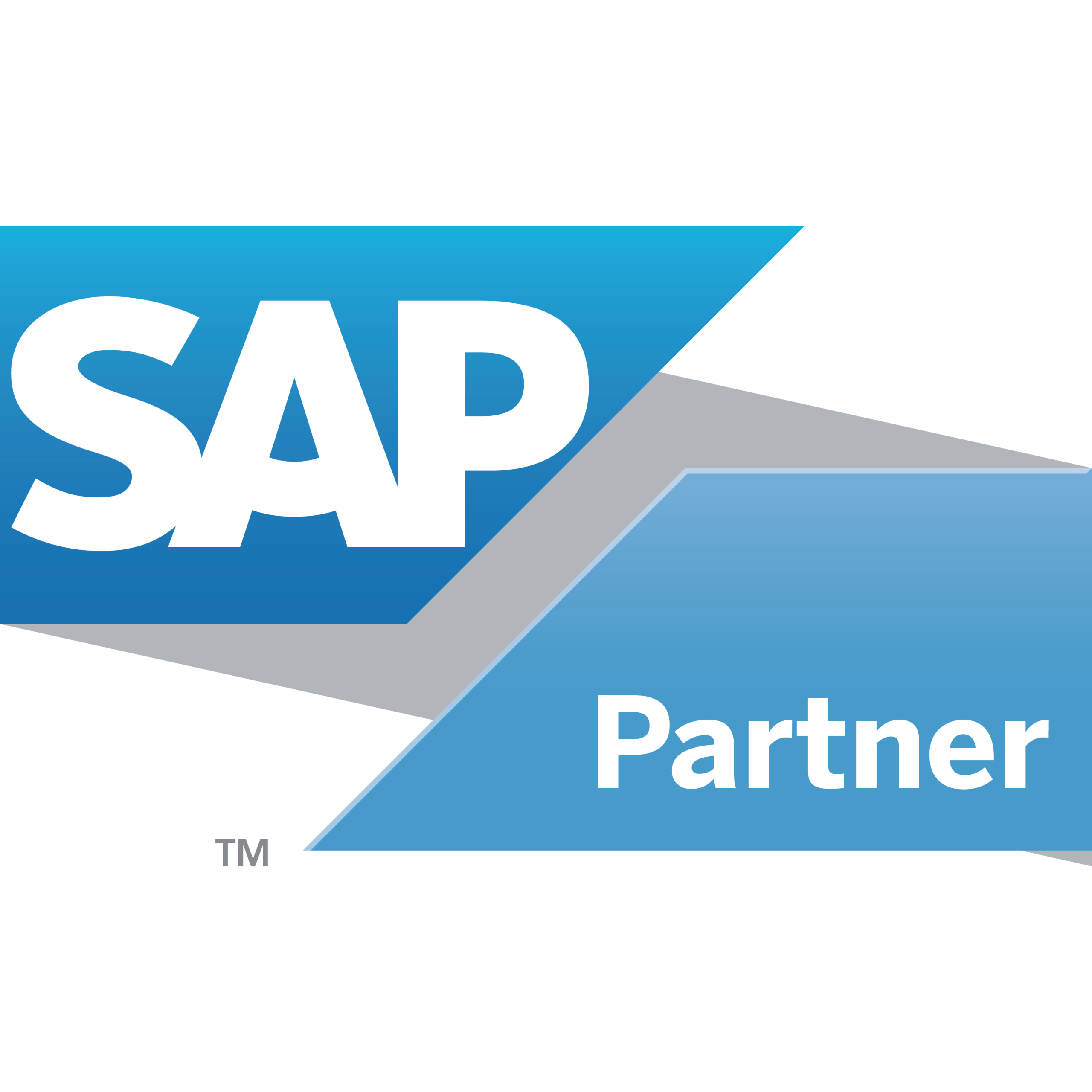 SAP Partner